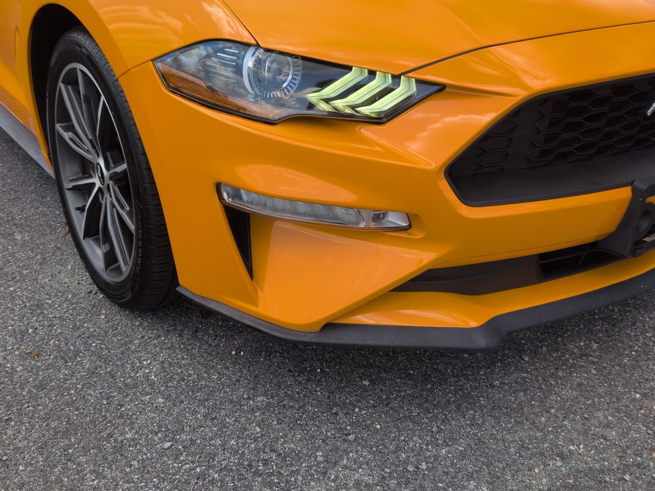 2019 Ford Mustang EcoBoost Premium