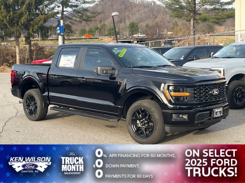 2025 Ford F-150 STX