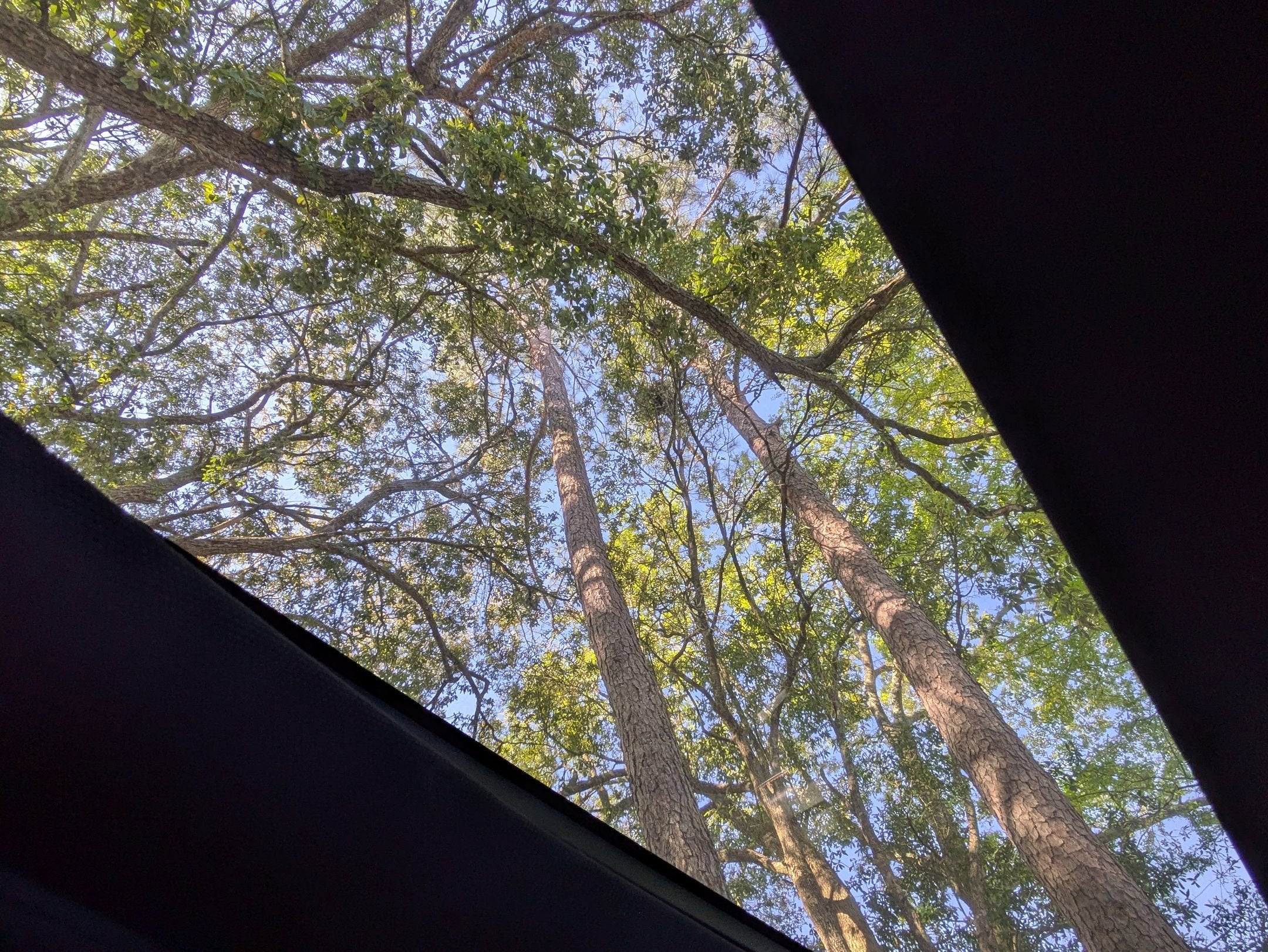 2024 Ford F-150 Raptor R