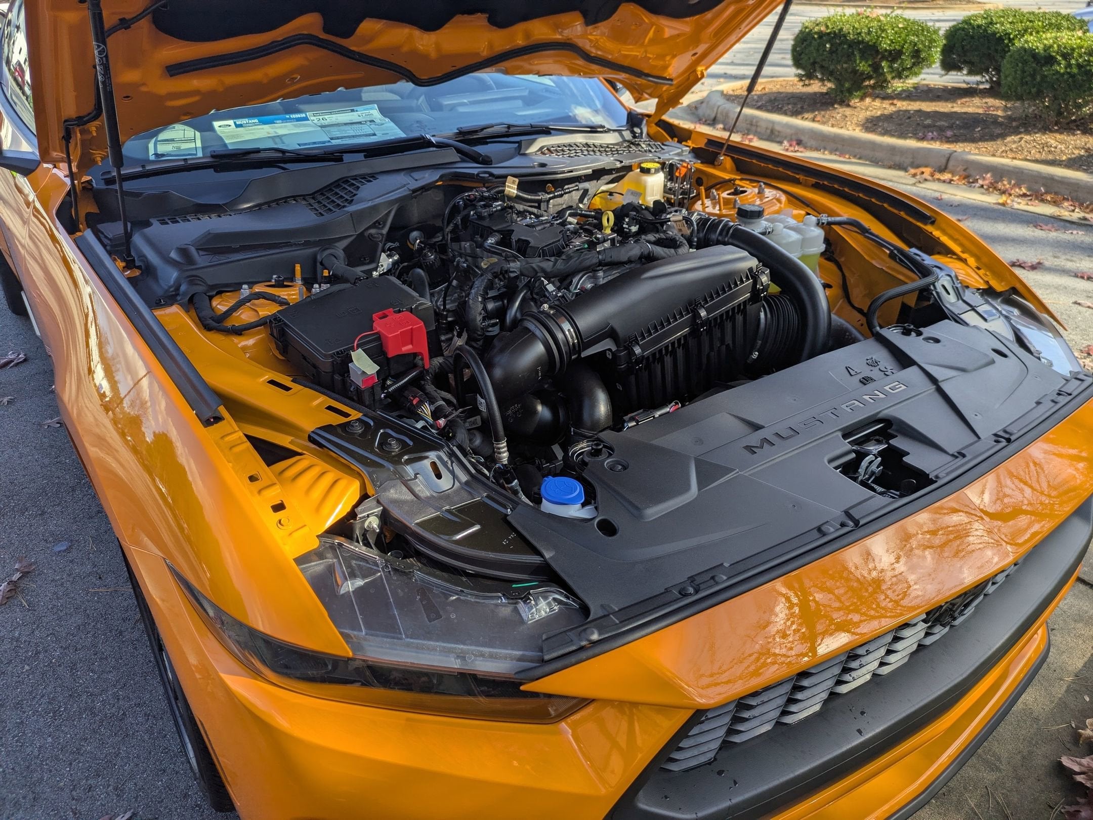 2026 Ford Mustang EcoBoost
