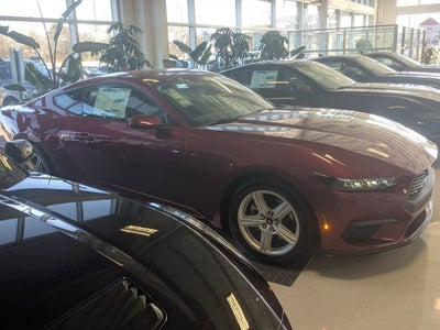 2026 Ford Mustang EcoBoost