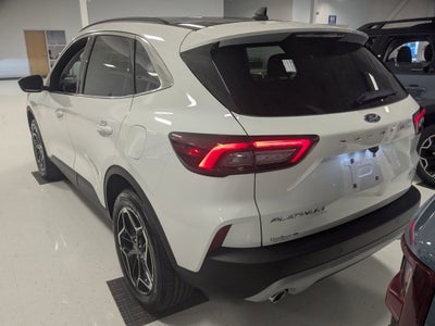 2026 Ford Escape Platinum