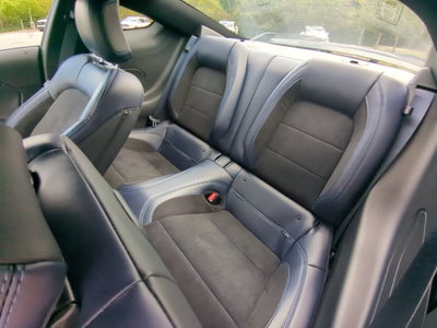 2024 Ford Mustang Dark Horse