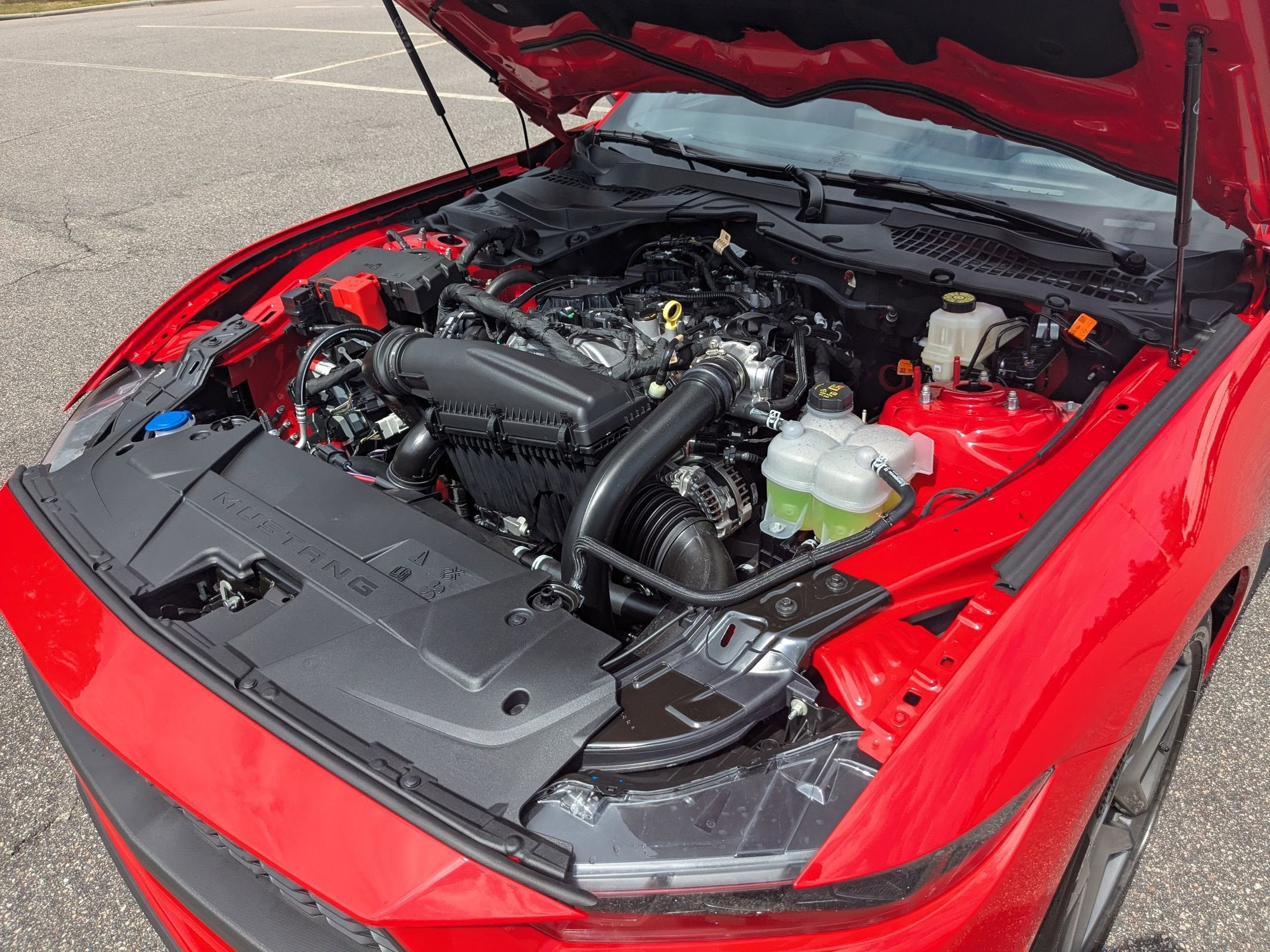 2025 Ford Mustang EcoBoost