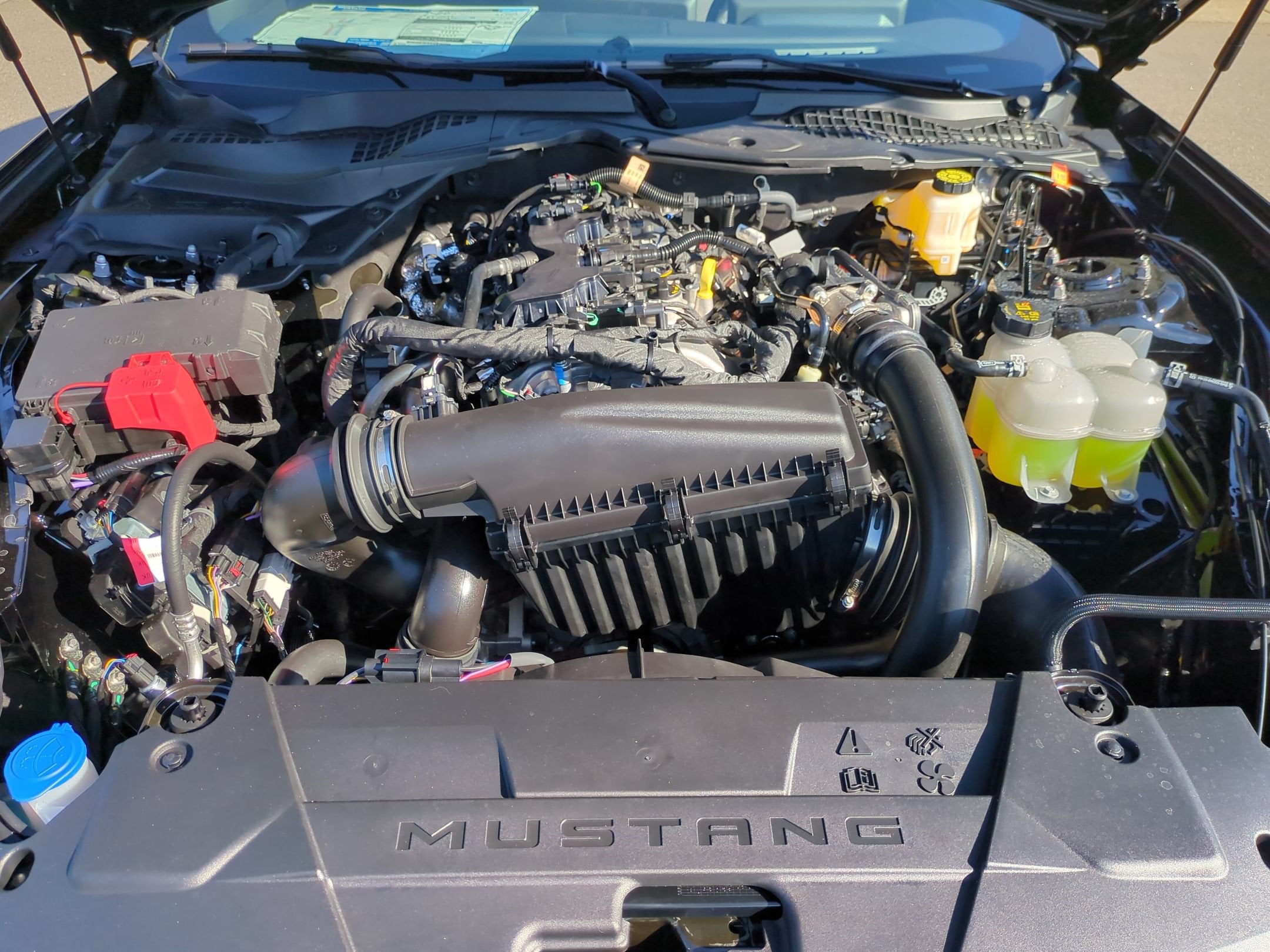 2026 Ford Mustang EcoBoost
