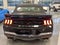 2024 Ford Mustang Saleen Yellow Label Convertible