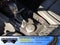 2026 Ford Bronco Big Bend - Crossroads Courtesy Demo