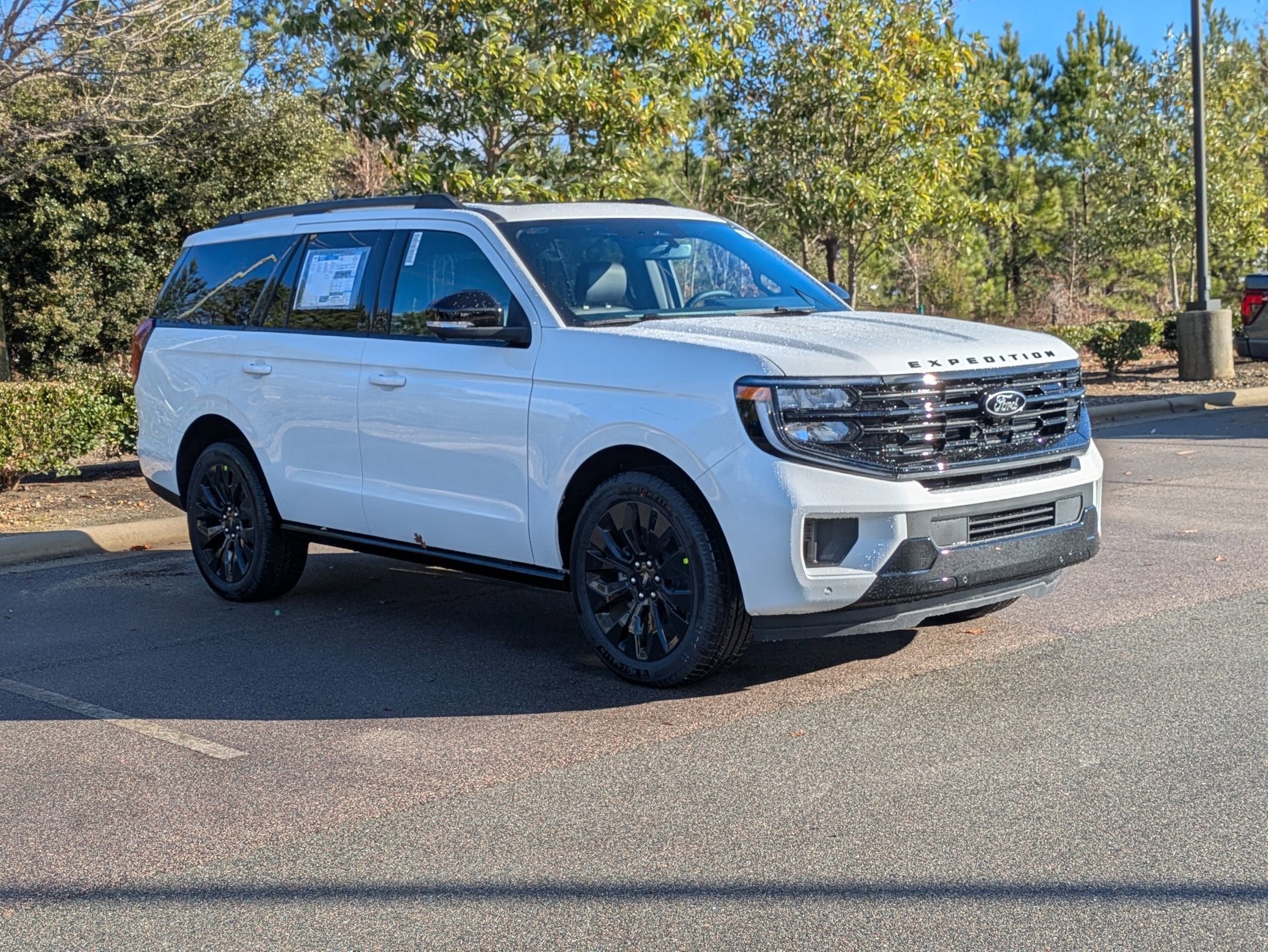 2025 Ford Expedition Platinum