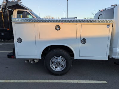 2025 Ford Super Duty F-250 SRW XL