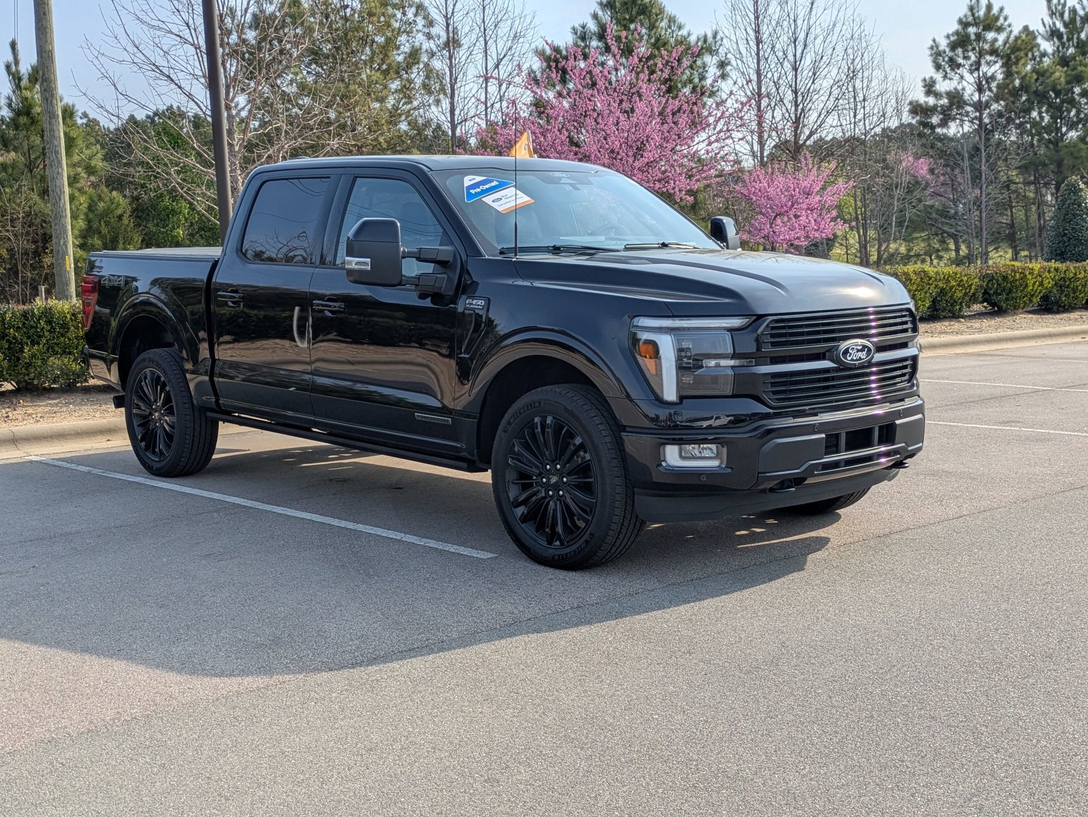 2025 Ford F-150 Platinum