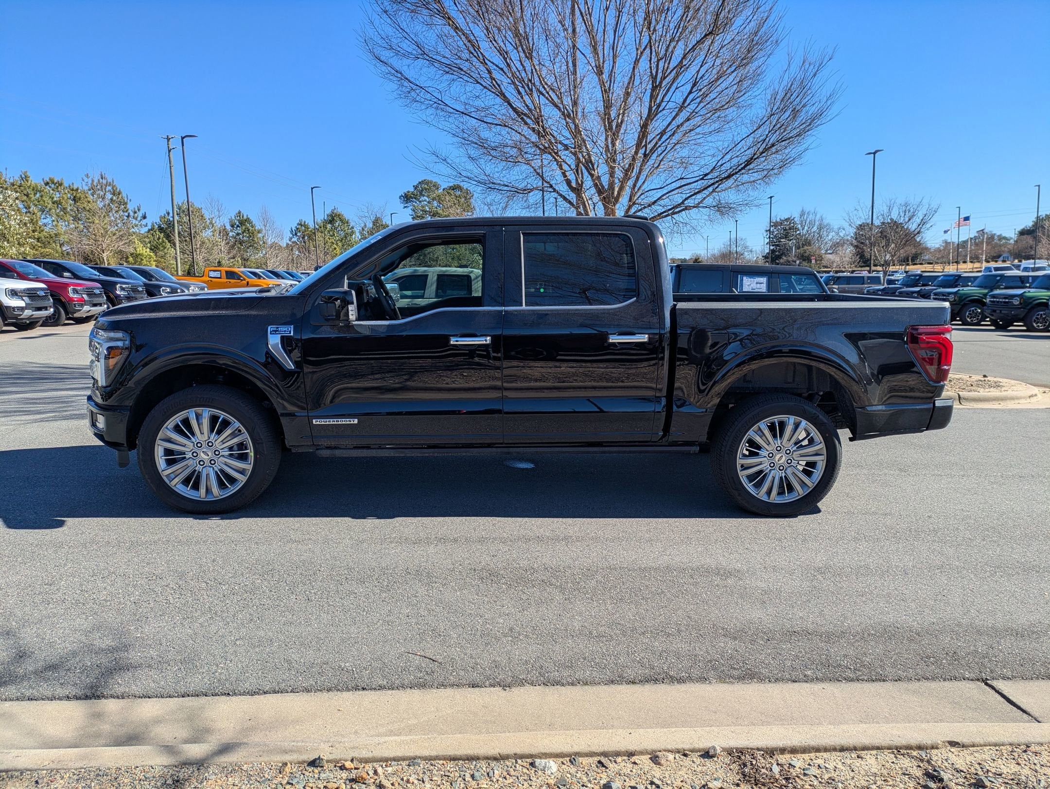 2025 Ford F-150 Platinum