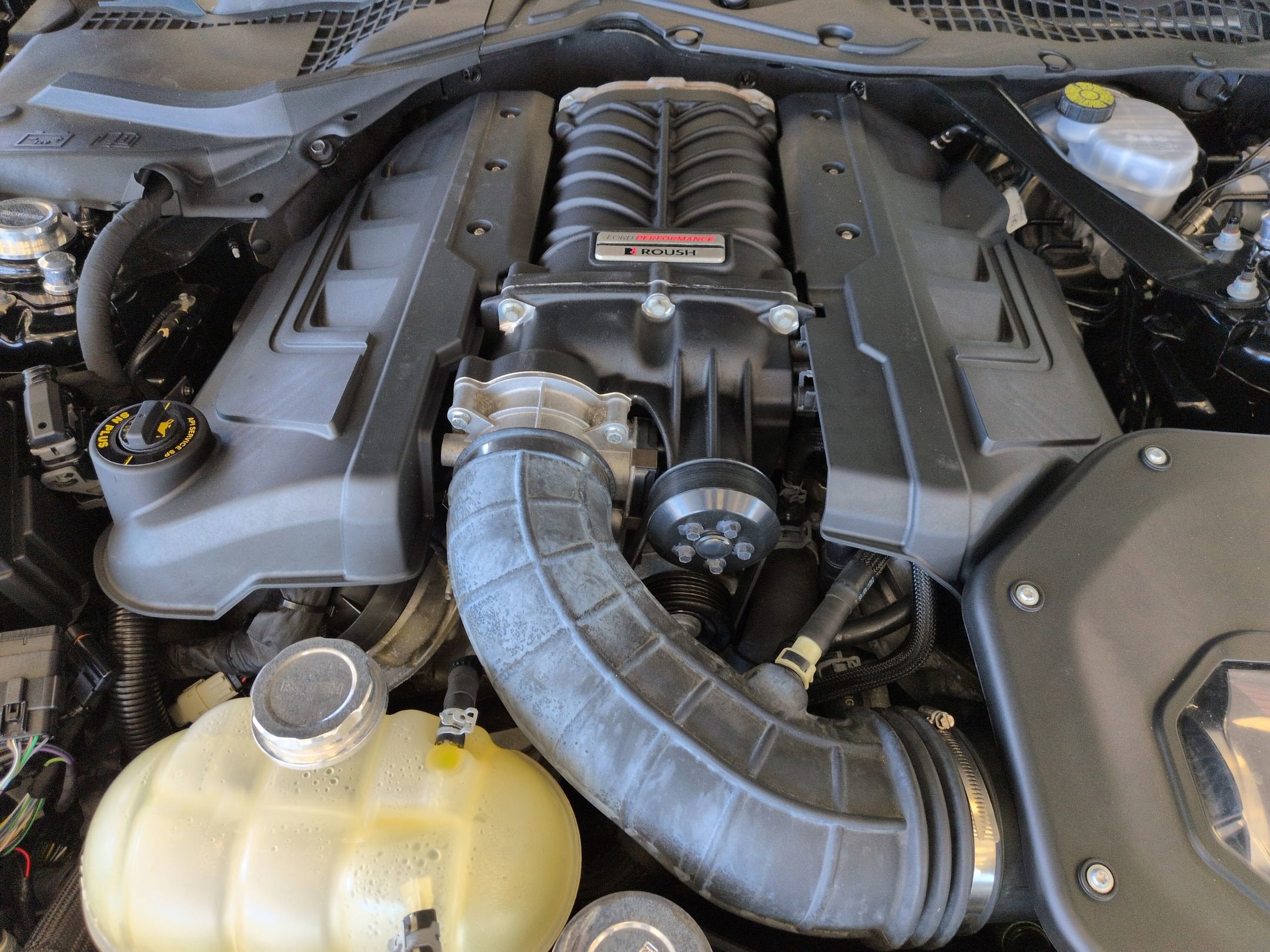 2021 Ford Mustang ROUSH STAGE 3