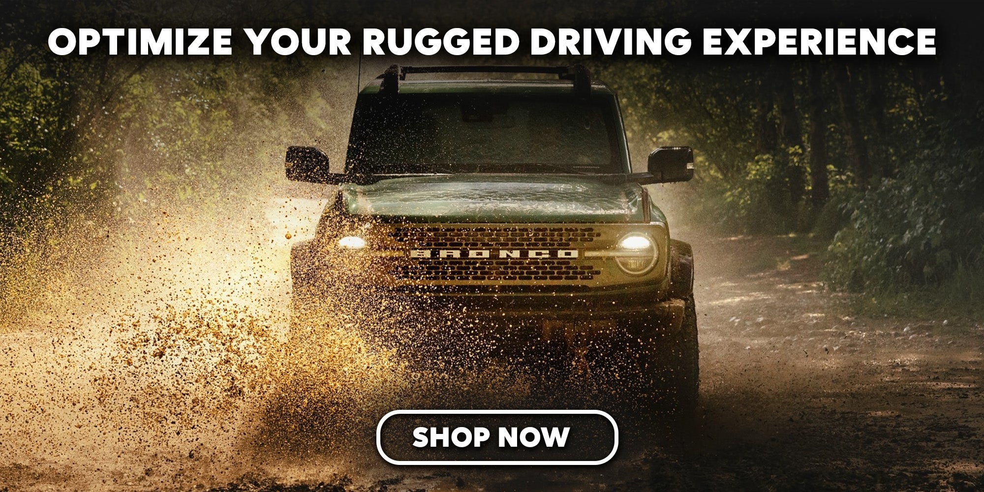 Which Ford Bronco to Buy?